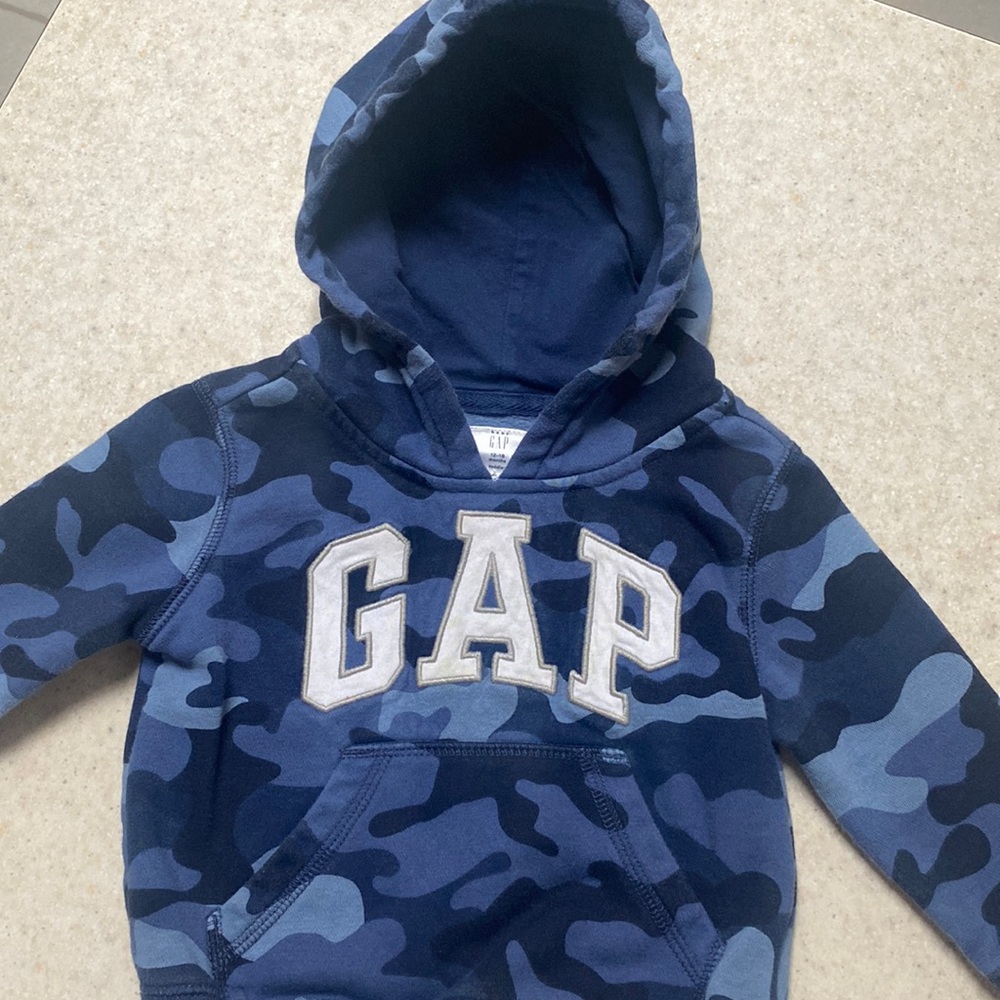 Toddler boy gap hoodie